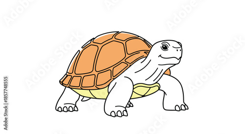 A simple and clean line art illustration of a friendly tortoise with an orange shell, depicted in a minimalist drawing style.