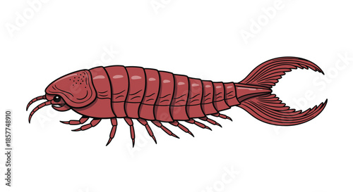 Detailed and scientifically inspired cartoon illustration of a giant isopod, a unique deep-sea crustacean, on a plain white background.