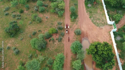 African horseback safari , African man and woman riding group of horse herd through the bush, trail riding in Botswana, Africa.