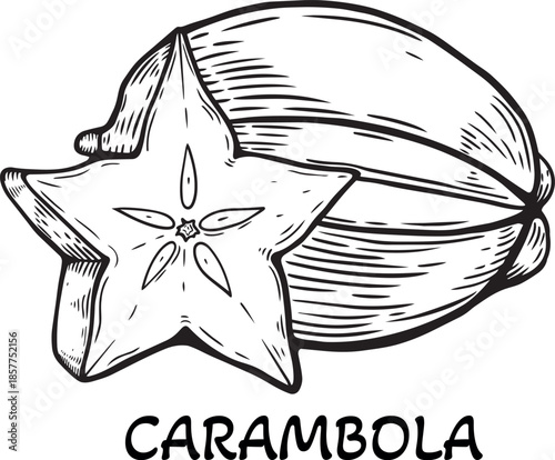 Hand Drawn Starfruit Outline . Black and White Botanical Sketch