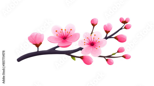 Pink cherry blossom branch with delicate flowers and buds, vibrant spring floral illustration, symbolizing renewal and beauty, isolated on transparent background