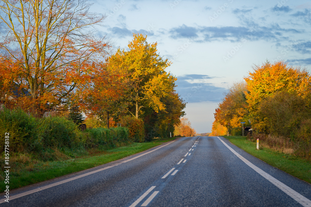 Fototapeta premium Two lane autumn road with double dashed center line markings