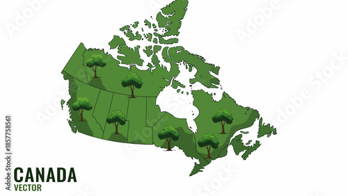 Green Canada map with lush trees illustration a vector graphic representation of the nation's