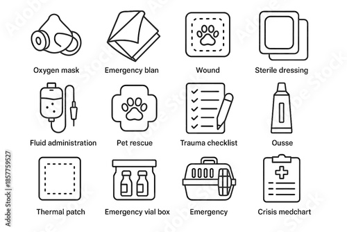 Label emer med vial oxygen wound gauze icon trauma box vector