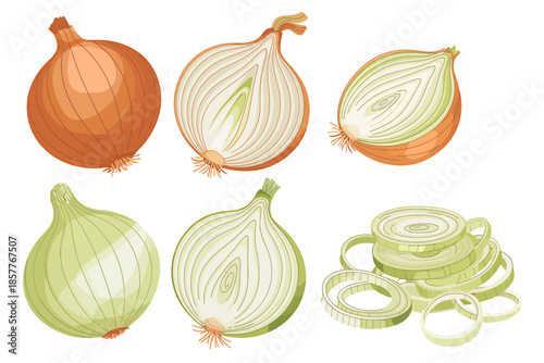 Diverse onion illustrations showcasing whole, halved, and sliced variations in brown and green