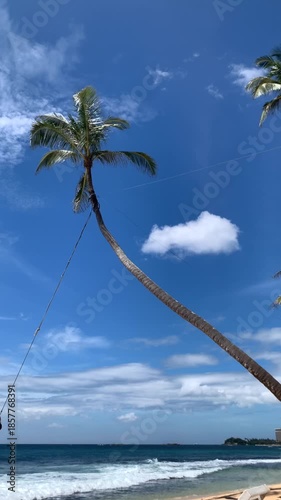 Carefree woman swinging on a rope swing attached to a palm tree at a tropical beach, enjoying the summer freedom and ocean breeze on a beautiful sunny day in slow motion