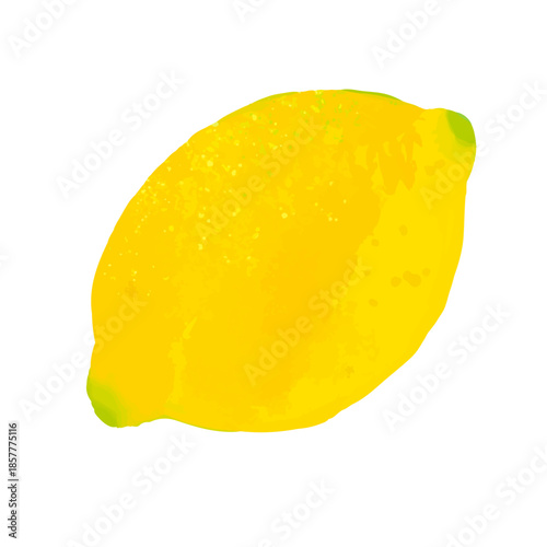 手描きのかわいいまるごとレモンのイラスト1