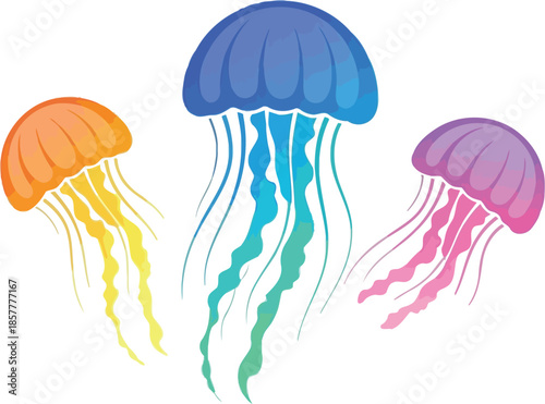 Three brightly colored stylized jellyfish illustrations floating gracefully against a plain white background showcasing vibrant marine life art