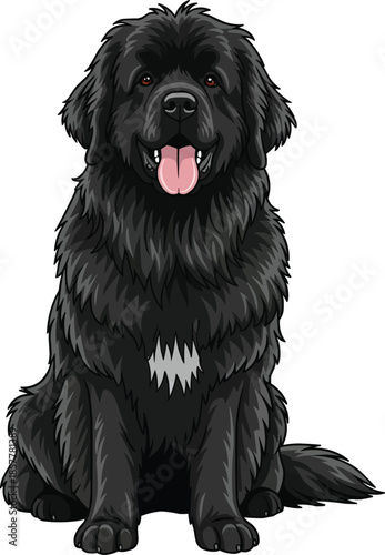 Newfoundland Dog sitting cute happy panting facing front