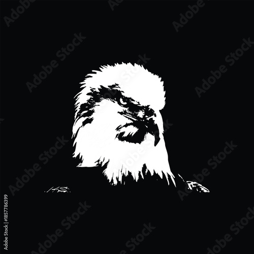 vector silhouette Bird