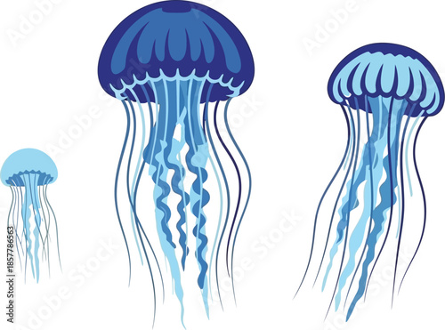 Stylized illustration featuring three distinct blue jellyfish swimming gracefully in a simple aquatic arrangement against a clean white background for design use