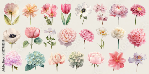 A vibrant collection of delicate watercolor wildflowers and botanical elements, showcasing a variety of colors and textures, isolated on a transparent background.