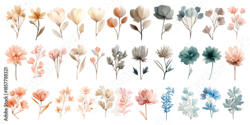 Soft pink peony and rose floral pattern with delicate greenery and golden accents