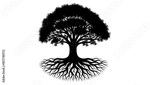 Stylized black silhouette of a robust tree with intricate roots and a full canopy, isolated on a white background, symbolizing nature, growth, and stability.