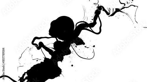 Abstract black ink splash with branching tendrils on white background (vector art)