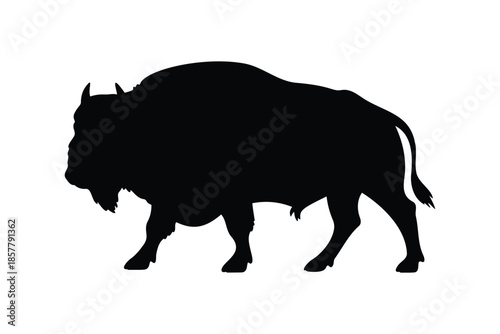 Animal buffalo silhouette vector flat illustration design.