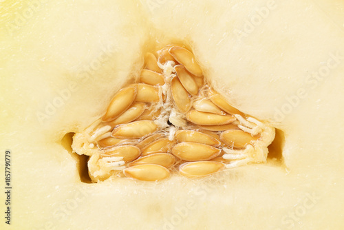 Tableau sur toile Melon seed core closeup