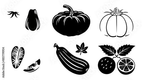 Squash and pumpkin icon collection Vector