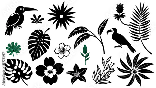 Tropical silhouettes set Vector
