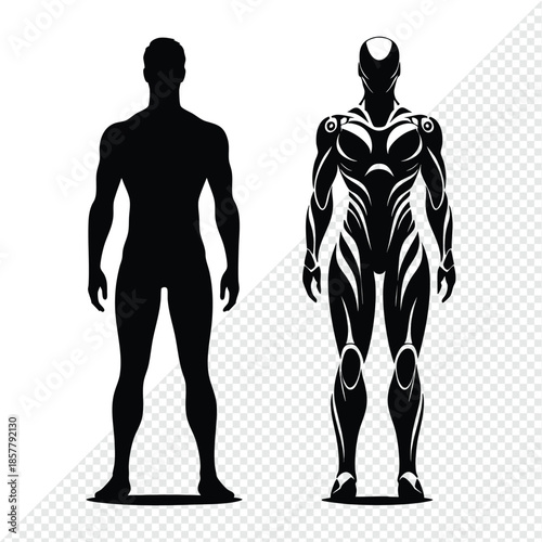 Human silhouette and futuristic cyborg figure representing evolution and technology isolated on background for digital design
