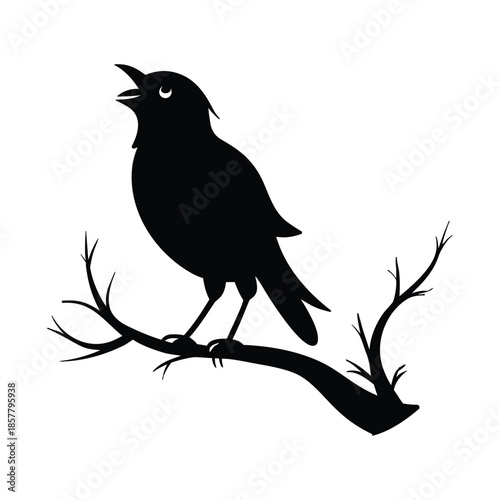 Silhouette of a black bird perched on a tree branch singing with its beak open, isolated on a white background