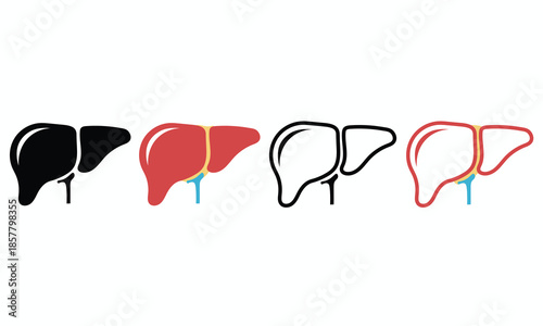 Human liver organ vector icon set for medical and educational use. Suitable for healthcare visuals, anatomy diagrams, biology studies, and medical presentations.