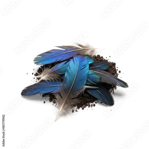A collection of iridescent blue and brown bird feathers rests on a small pile of dark soil. The feathers display vibrant colors and intricate patterns against a clean white background.