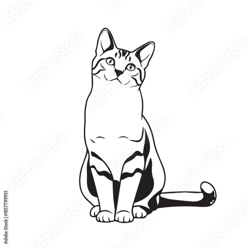 vector illustration of a black cat