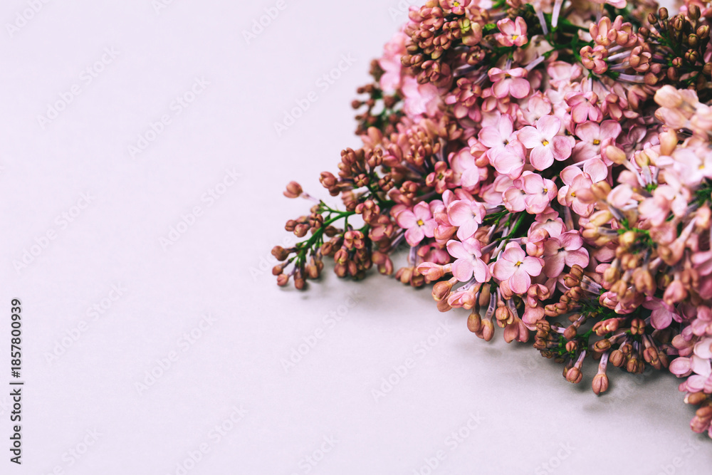 Fototapeta premium Lilac branch on grey pastel background, flat lay style. Place for your text.