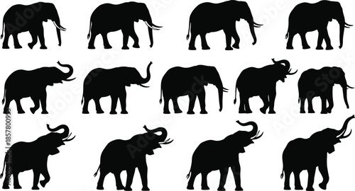 Elephant silhouette collection, black animal icons, wildlife poses set, trunk movement shapes, safari clipart, vector design, isolated figures