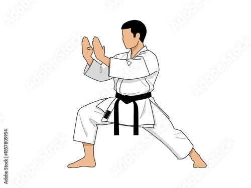A martial artist in a fighting stance with a black belt is performing a karate move