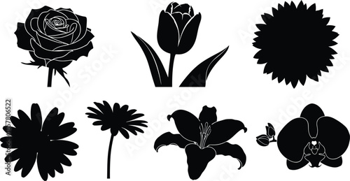 Set of 6 flower silhouettes rose tulip sunflower daisy lily and orchid distinct floral shapes