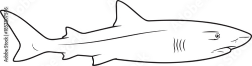 silhouette of clean vector of Nurse shark isolated on white background