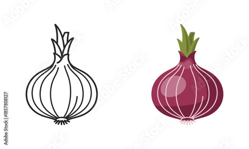 Illustrated comparison of onions
