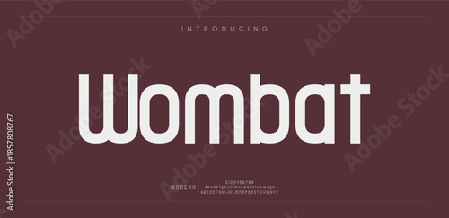 Wombat Minimal modern luxury logo alphabet font. Typography abstract sans serif technology, electronic, movie, future, creative brand logos fonts. vector illustration