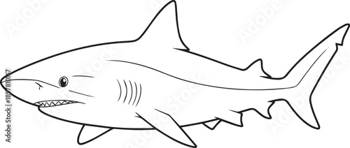 silhouette of clean vector of Lemon shark isolated on white background