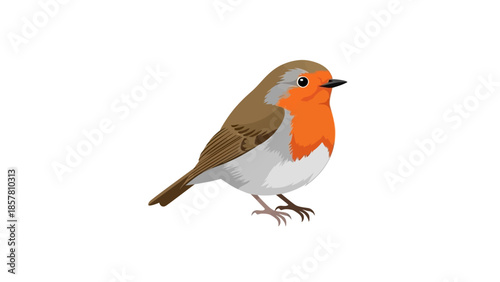 Illustration of a European Robin with Bright Orange Breast