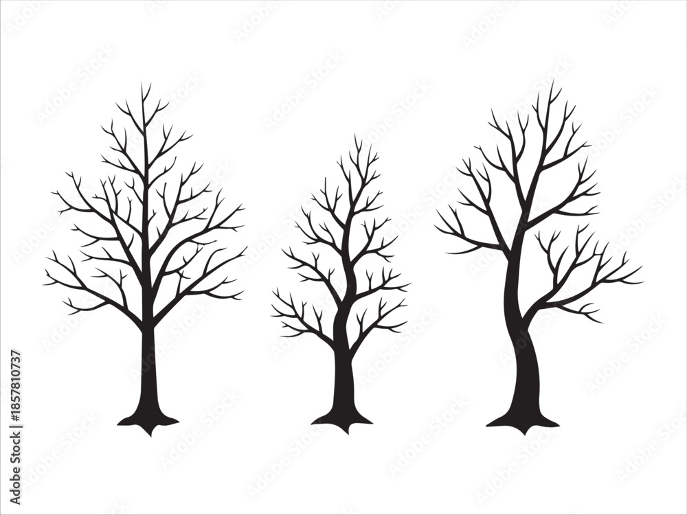 Obraz premium Three Simple Tree Silhouettes Isolated on Transparent Background