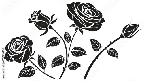 an elegant arrangement of black roses with buds and stems presented in a striking floral silhouette