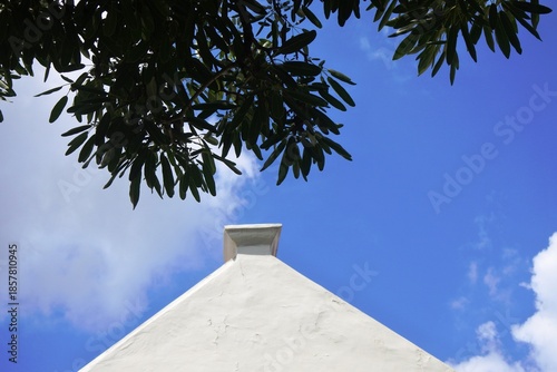 Quadro su tela The roof decoration of the building is in classic European colonial style at the