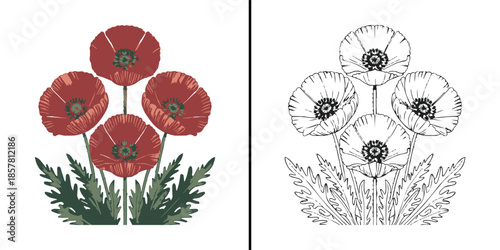 A beautiful side by side comparison displays a colorful stylized poppy flower arrangement next to its detailed black and white line art version for crafters