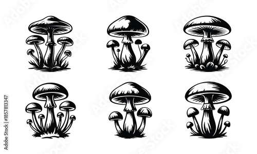 Six Black and White Mushroom Illustrations in a Grid