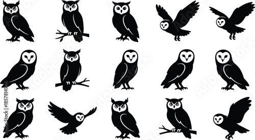 Collection of owl silhouettes, flying and perched bird icons, black vector illustration set, nocturnal predator animal symbols, barn owl and horned owl isolated designs