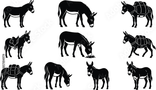 Set of donkey silhouettes, farm animal vector illustration collection, mule and burro icons, grazing and pack animals with luggage, black isolated symbols