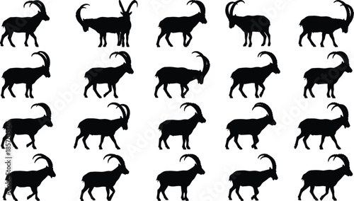 Set of mountain goat silhouettes, wild ibex vector illustration collection, alpine animal icons with large curved horns, nature wildlife symbols, black isolated designs