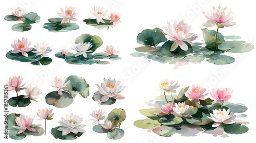 Watercolor lotus flowers and lily pads collection painted in soft natural tones ideal for spa decor botanical art meditation themes and peaceful nature inspired illustrations