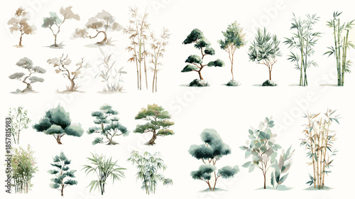 Watercolor tree and forest elements collection with bonsai bamboo and natural silhouettes in soft green tones perfect for landscape design nature education and environmental projects
