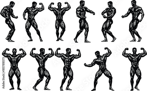 Collection of muscular bodybuilder illustrations showing bodybuilding poses, strength training, fitness anatomy, and athletic physique concepts isolated on white background