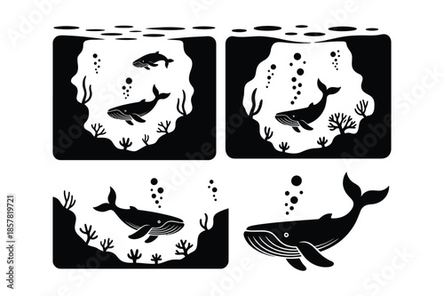 Humpback Whales Swimming in Underwater Sea Caves with Coral