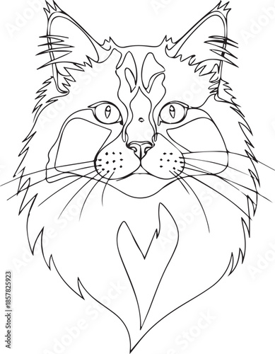 Portrait of a long-haired cat